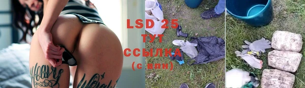 стаф Богородицк