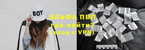 стаф Богородицк