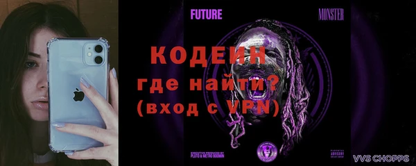 ПСИЛОЦИБИНОВЫЕ ГРИБЫ Богданович