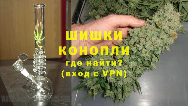 стаф Богородицк