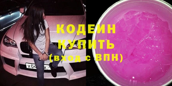 ПСИЛОЦИБИНОВЫЕ ГРИБЫ Богданович