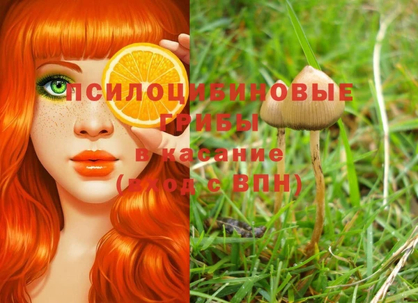 ПСИЛОЦИБИНОВЫЕ ГРИБЫ Богданович